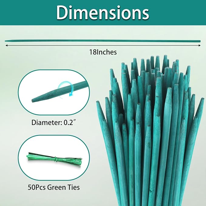 HAINANSTRY Bamboo Plant Stakes 50PCS, 18Inch Natural Bamboo Garden Stakes, Supports Indoor & Outdoor Plants, Straight Style, Green
