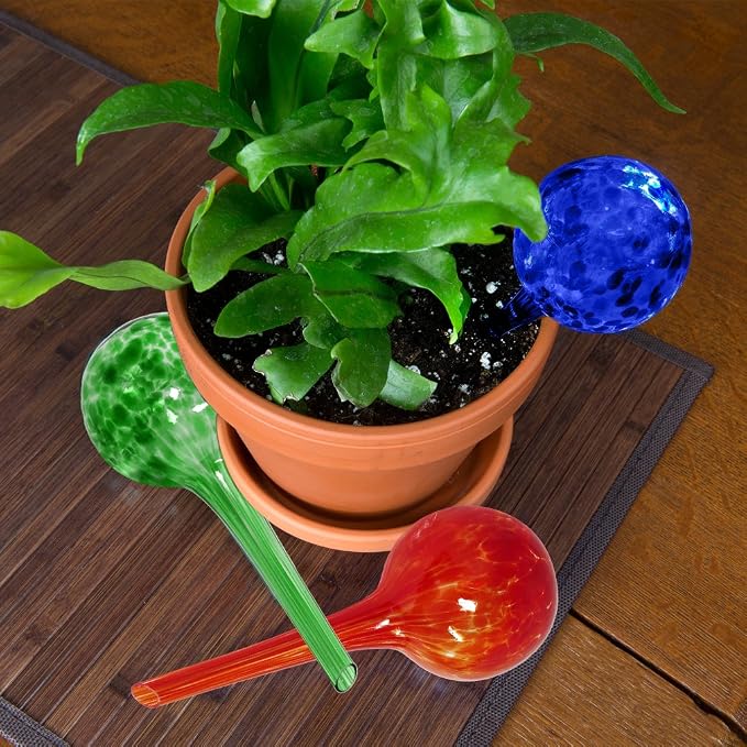 Evelots Plant Watering Globes (6 Pack) - Hand Blown Glass - Automatic Water Irrigation System - Indoor/Outdoor - Leave Your Home Worry Free
