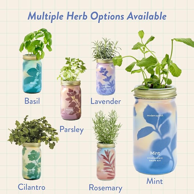 Modern Sprout Mason Garden Jar - Self-Watering Hydroponics Growing System Kit with Organic Herb Seeds - Jar Planter for Indoor Herb Garden - Seed Starter Kit - Home Decor - Gift for Mother's Day -Mint