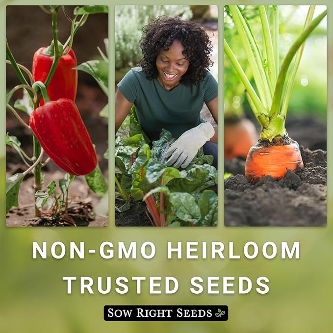 Sow Right Seeds - Rare Exotic Vegetable Seed Collection for Planting - Non-GMO Heirloom Beets, Broccoli, Cucamelon, Cucumber, Pepper, Basil, Radish, Watermelon, Tomato, and Swiss Chard to Plant
