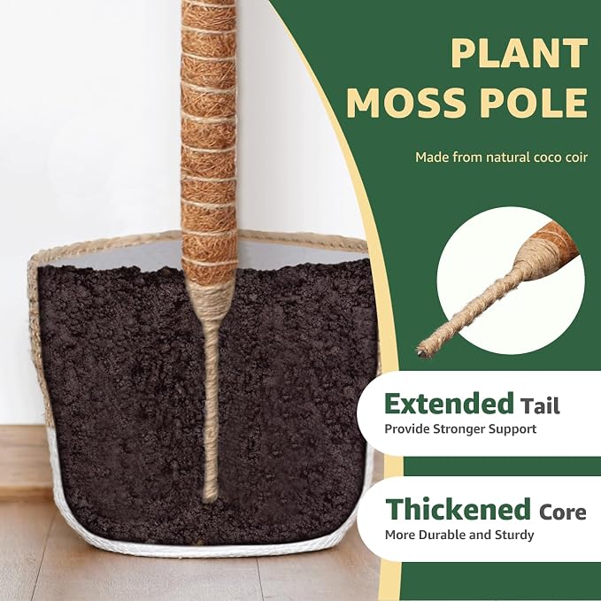 Monstera Moss Pole, 35in Bendable Bendable & Sturdy Plant Stakes for Monstera, Indoor Plant Tools, Pothos Vines, Philodendron, Fishbone Cactus & Indoor Tropical Houseplants, Coco Coir