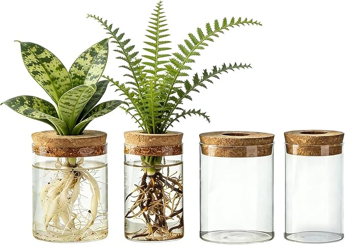 Glass Propagation Stations for Plants, Propagation Flower Vases Set, Hydroponic Glass Container Vase, 2 Large & 2 Small for Desks Houses Garden Decorations Home Kitchen Decorations and Gifts