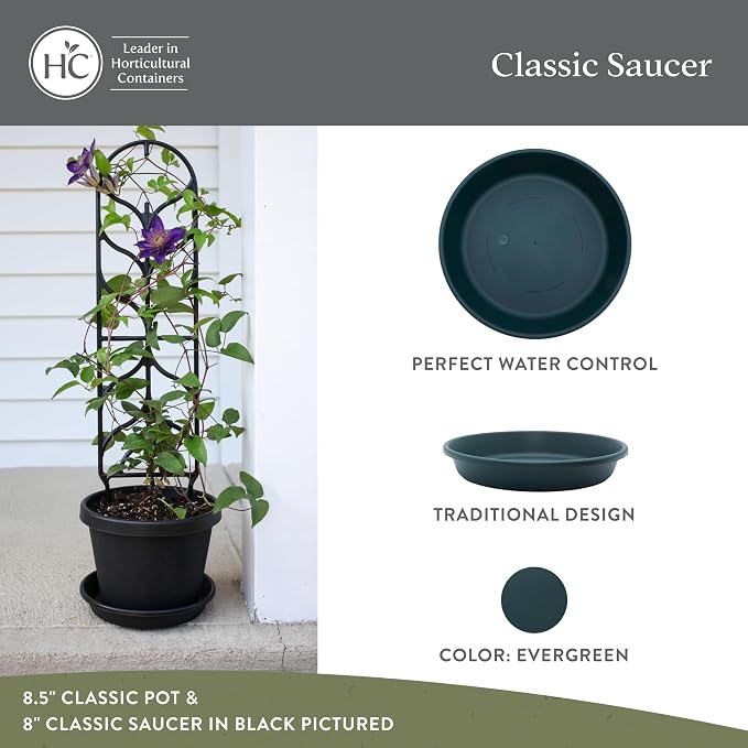The HC Companies 12 Inch Classic Round Plant Saucer, Lightweight UV-Resistant Plastic Outdoor & Indoor Flower Pot Tray, 2-Pack Plant Pot Trays for Garden & Home Decor, Evergreen