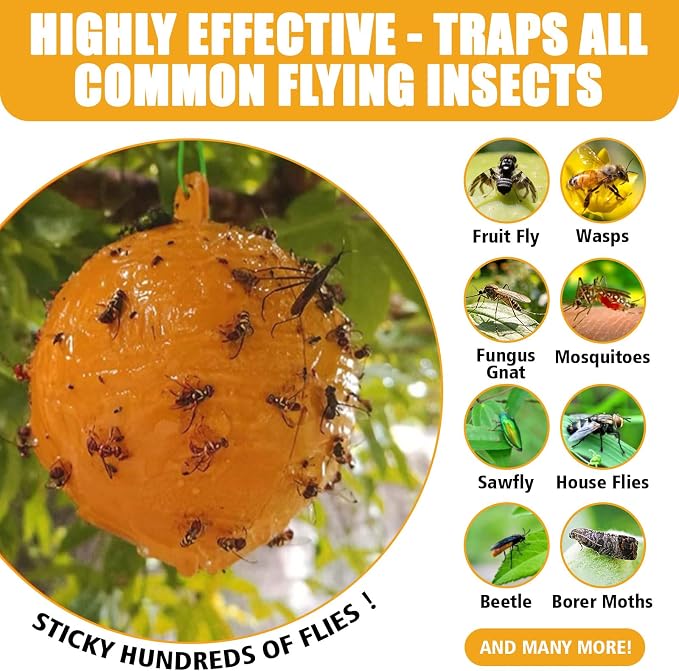 Sticky Insect Trap Ball, Osseph Fruit Fly Trap Balls for Indoor Outdoor 6pc, Physical Extra Sticky Hanging Bug Ball Catches Flie Gnat Wasps Mosquitoe Flying Insects (Orange)
