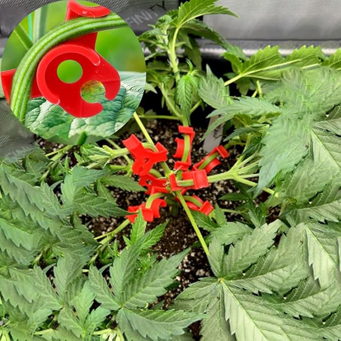Booge 40 Pcs Low Stress Training Clips, 90 Degrees Plant Trainer Bud Plant Bender Plant Training Clips Bud Bender for Plant Gardening - Red and Green