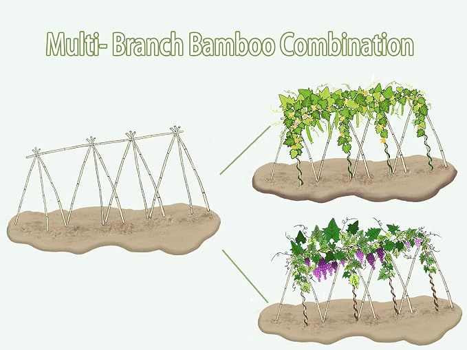 Plant Bamboo Post,4.8Feet,Bamboo Garden Stakes,50PcsBamboo Stakes,for Tomato,Beans,Vegetable and Flowers, Potted Plants,Indoor and Outdoor Climbing Plants