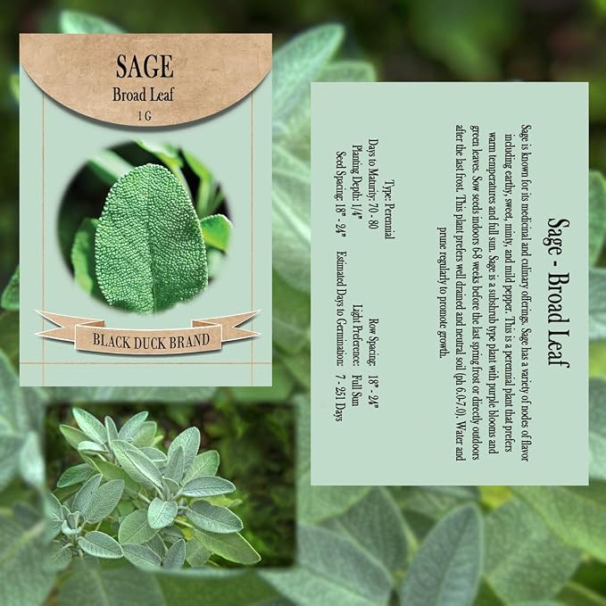 Italian Kitchen Herb Garden Seed Kit – 7 Classic Culinary Varieties for Authentic Cooking – Non-GMO & Heirloom Seeds – Includes Basil, Oregano, Parsley, Rosemary, Thyme, Sage & Garlic Chives