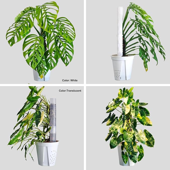 D Shape Sphagnum Moss Pole for Climbing Plants - 6 Pcs 17 Inch Plastic Stackable Plant Support, Designed for Monstera & Indoor Plants with Enhanced Stability