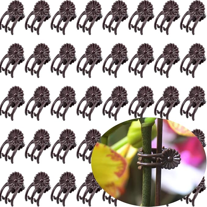Orchid Clips for Plants Support (100, Brown) for Small - Middle Climbing Plants Vine Plants & Single Stem Plants