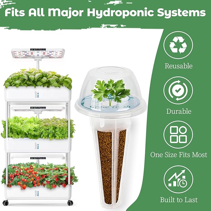 Herb Seed Pods Kit Hydroponic - Refill Pod for All Indoor Garden, 8 Grow Pods with Seeds of Thyme & Plant Food, Compatible with All Hydroponics Growing Systems