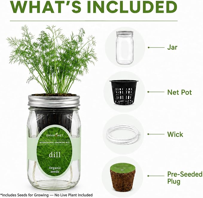 Hydroponic Herb Growing Kit, Self-Watering Mason Jar Herb Garden Starter Kit Indoor, Windowsill Herbs Garden, New Christmas Grden Gift for Mom (Dill)