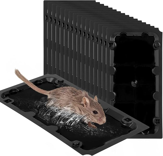 20 Pack Sticky Mouse Trap Rat Traps Indoor, Peanut Taste Pheromone Mouse Traps Indoor for Home, Glue Sticky Traps for Mice and Rats, Snake(Large Size)