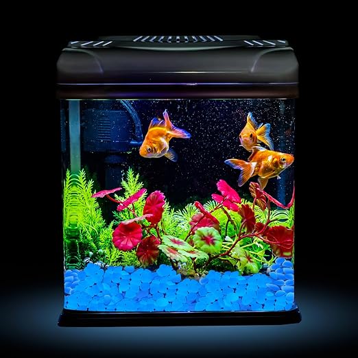 NAMTSO Glow in The Dark Rocks Outdoor, 500 pcs White Solar Rocks for Landscaping, Outdoor Decor Glow in The Dark Stones, Glowing Pebbles for Garden Backyard Patio Lawn Pond Fish Tank Aquarium Decor