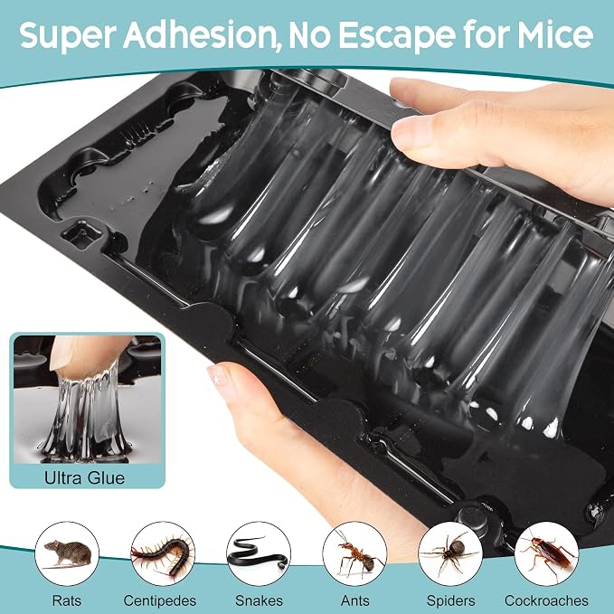 10 Pack Sticky Mouse Trap Rat Trap Indoor, Peanut Taste Pheromone Mouse Traps Indoor for Home, Glue Sticky Traps for Mice and Rats, Snake(Large Size)