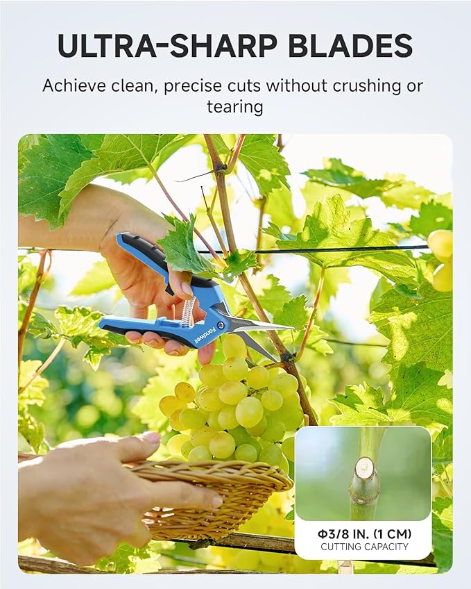 Fondwell 6.5" Garden Scissors Plant Shears: Micro Tip Pruning Shears with Curved Blades - Lightweight Bonsai Scissors