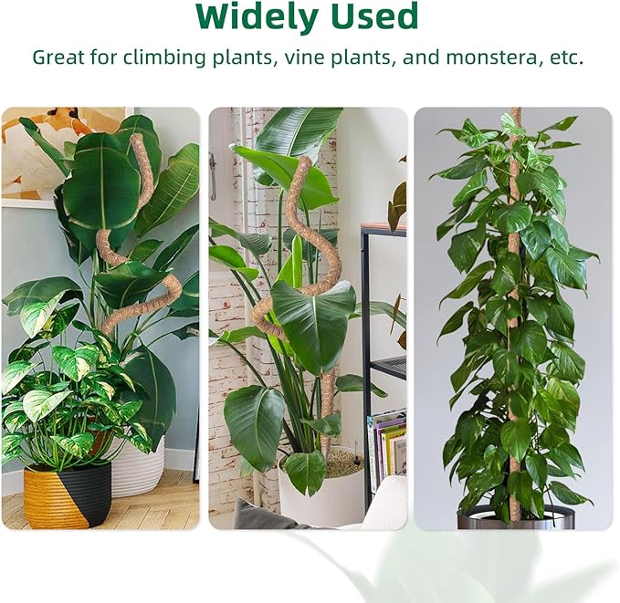 Mcbazel 63 Inch Moss Pole for Plants Monstera, Monstera Plant Support Stick, Bendable Moss Poles Plant Support Stick for Climbing Plants, Stick Support Stake Kit for Potted Plants, Pothos,Philodendron