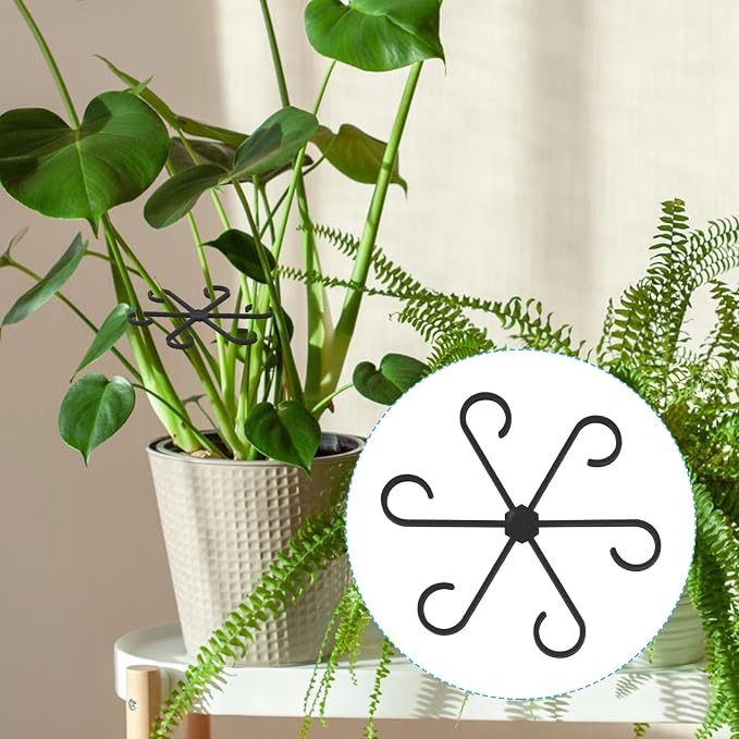 XIHIRCD 4pcs Plant Stem Support, Climbing Houseplant Leaf Support Ring Plant Climbers Stem Holders Plants Climbing Rack Plant Flower Gardening Growth Cultivation Accessories Tools(Black)