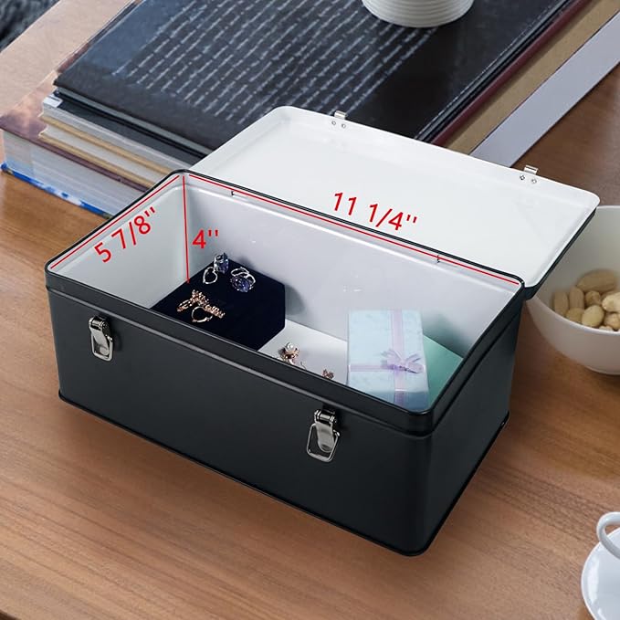 DreamsEden Metal Seed Organizer Storage Box - Rustic Garden Seed Saver Container for Packets with Hinged Lid Gifts for Homesteader Gardening (Black)