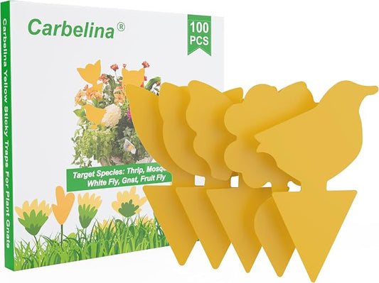 Yellow Sticky Traps for Plant Gnats, 100pcs Sticky Traps for Gnat, Fruit Fly, Flying Insects, Bug, Waterproof, Non-Toxic Indoor Outdoor Use for Houseplants, Pots, Garden & Kitchen