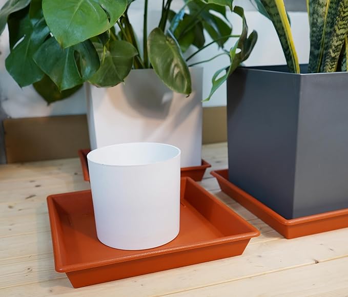 NIMYAU Square Plant Saucer 10 Inch 5 Pack, Plant Stand Flower Pot No Holes, Plant Trays for Pots Heavy Duty Plastic Plant Saucers for Indoors Outdoors Terracotta Plant Lover Gardening Gifts