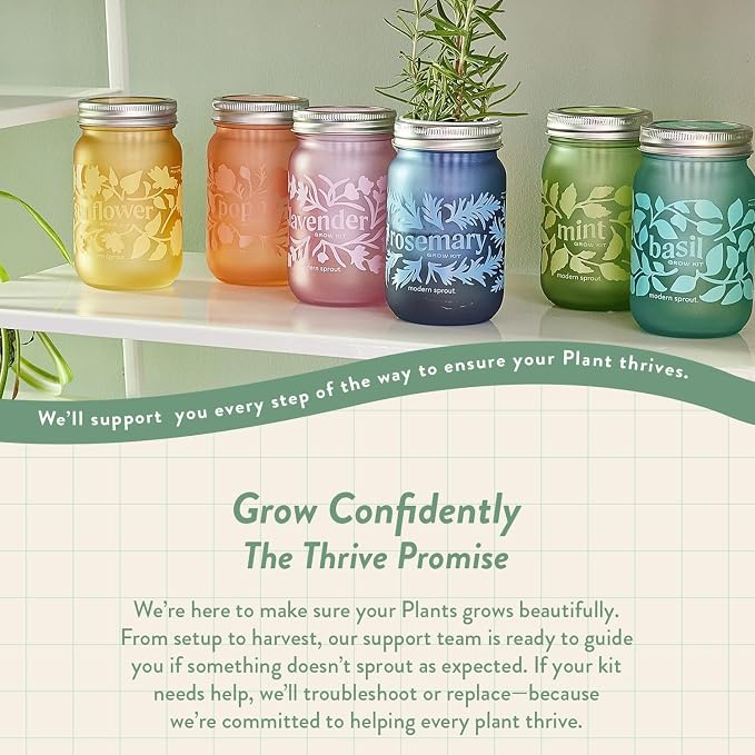 Modern Sprout Mason Garden Jar - Self-Watering Hydroponics Growing System Kit with Organic Herb Seeds - Jar Planter for Indoor Herb Garden - Seed Starter Kit -Home Decor & Gifting -Mint+Rosemary+Poppy