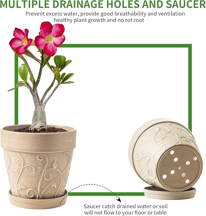 Melphoe Plastic Plant Pots Indoor with Drainage & Saucer, 2Pack 8 inch Flower Pots Outdoor Planters for Indoor Plants Garden Home Decor Cactus Succulent, (NOT-Terracotta) Vine-Embossed