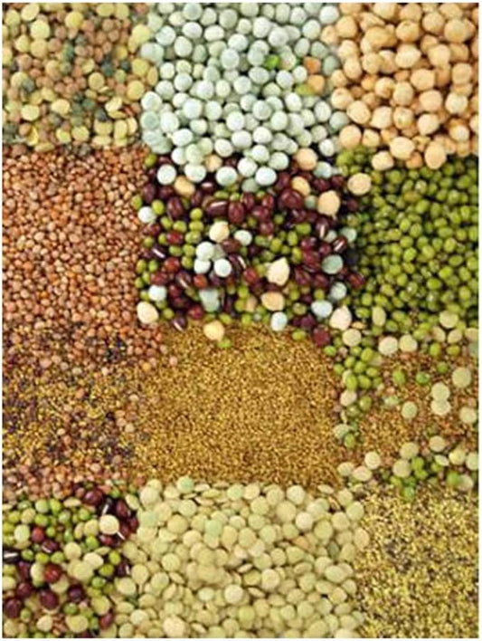 Handy Pantry Organic Sprouting Seed Assortments - Microgreens, Sprout Seeds Variety Pack (12 Pack - Beginners Dozen)