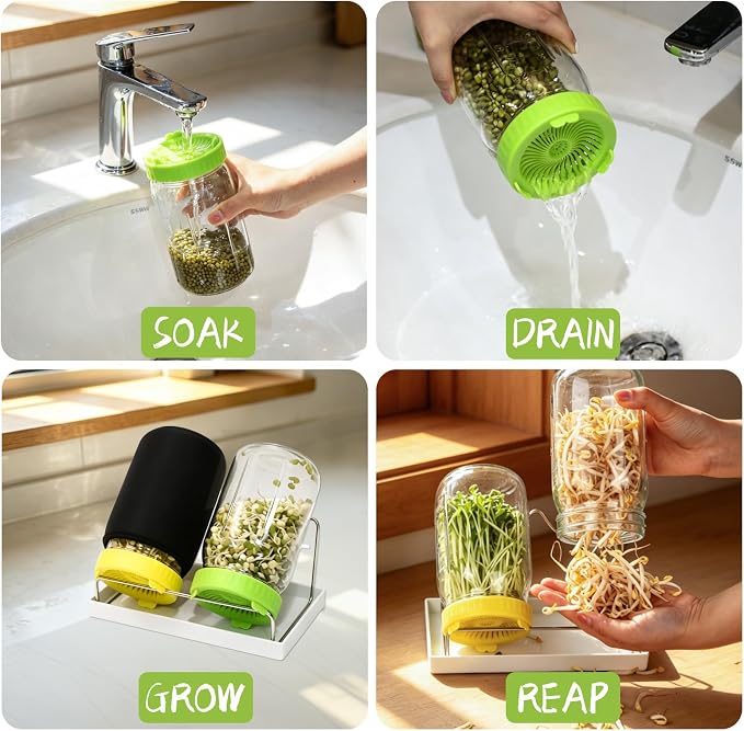 Seed Sprouting Kit - 2×32 Oz Wide-Mouth Mason Jars with Sprouter Lids, Stand, Sprout Tray & Light Shield, for Broccoli, Alfalfa, Mung Beans & Microgreens (Yellow + Green)