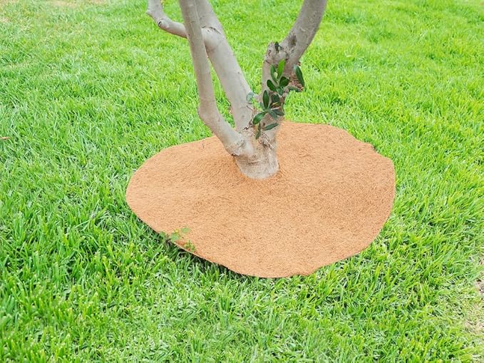 Envelor 20 pcs Coconut Fibers Mulch Ring 24 Inches Tree Protector Mat Coconut Mulch Cover Natural Coconut Fiber Weed Control Rings, Tree Ring Plant Cover for Indoor Outdoor Plants, Pot, Landscaping