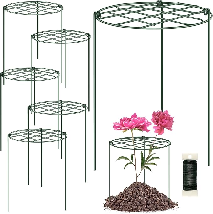 NNG 6 Pack Peony Cages and Supports 12 x 16 Inch Grow Through Plant Supports for Outdoor Plants,Plant Brace Flower Support Rings Hoops for Vegetables,Rose,Tomato,Orchids