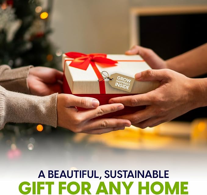 ZESTIGREENS Ceramic Microgreens Growing Kit to Grow 3 Crops Including Organic USDA Sunflower, Melon & Mixed Microgreens Seeds.
