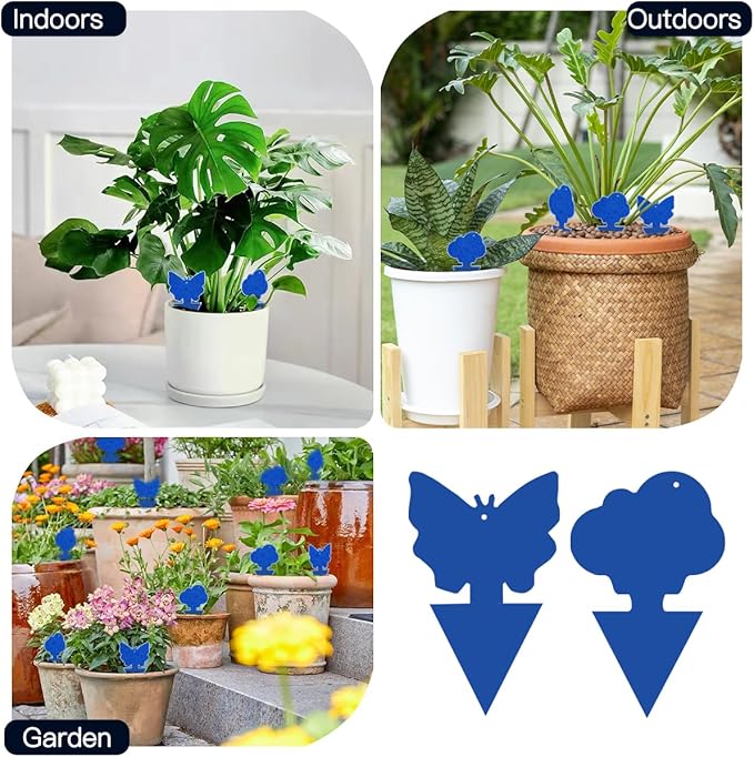 100 Pcs Sticky Traps for Fungus Gnat (Plants), Fruit Fly, Whitefly, and Fly, Yellow Sticky Insect Catcher Traps for Indoor/Outdoor, Kitchen, and Plants, High-End Glue, Non-Toxic (100 Pcs Blue)