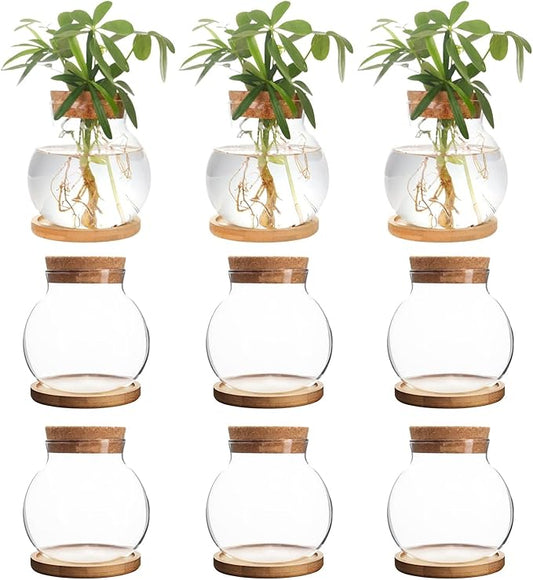 Plant Propagation Station,Hydroponic Glass Container Vase Jars, with Wooden Saucer for Desks, Houses, Garden Decorations, Home Kitchen Decorations and Gifts for Plant Lovers (9)
