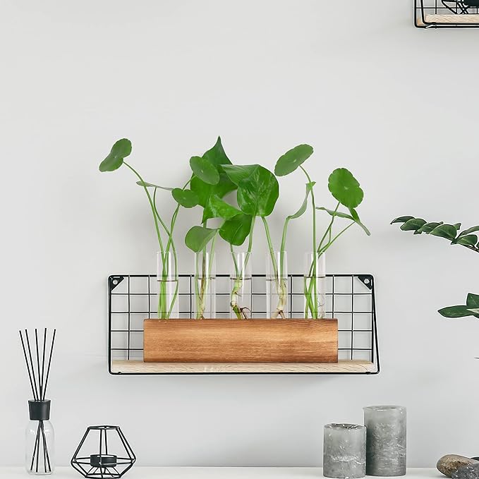 YIBOT Plant Propagation Stations with Wooden Stand,5 Glass Test Tubes Vases | Plant Terrarium,Birthday Gardening Gifts for Women Mom Plant Lovers, Home Office Desk Decor