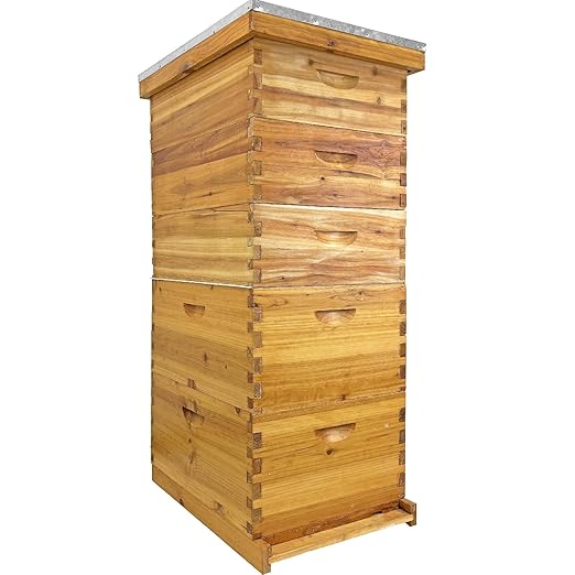 5-Layer Langstroth Bee Hive Kit, 100% Beeswax Coated Wood Beehive Includes 2 Deep Breeding Boxes and 3 Medium Super Boxes, 10-Frame Standard Bee House with Metal Top Cover, No Frames