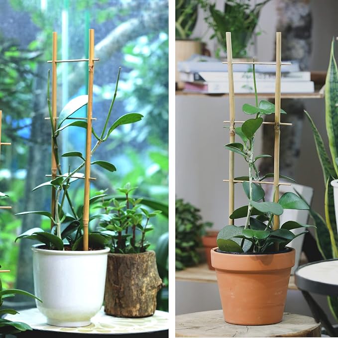 Cambaverd Bamboo Trellis, 16in Ladder-Shaped Trellis for Potted Plants, 3 Pack for Climbing Plants Indoor