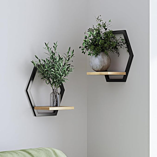 2 Pack Solid Wood & Metal Framework Wall Plant Stands,9 inch Natural Wood Shelf of Indoor,Mid Century Modern Hanging Planter for Outdoor Entryway 25 LB Load for Plants Black