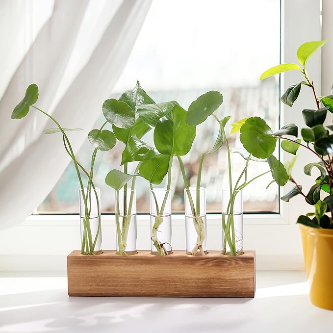 YIBOT Plant Propagation Stations with Wooden Stand,5 Glass Test Tubes Vases | Plant Terrarium,Birthday Gardening Gifts for Women Mom Plant Lovers, Home Office Desk Decor