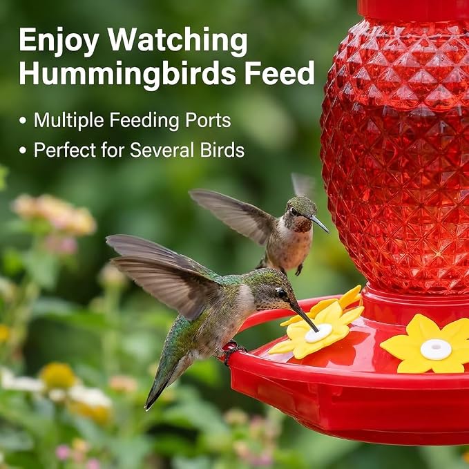 Fchstaer Glass Hummingbird Feeders for Outdoors Hanging 16oz 1 Pack Red Pineapple Bee & Ant Proof 360°Perch Leakproof Easy Clean with 6 Feeding Ports Gifts for Mom