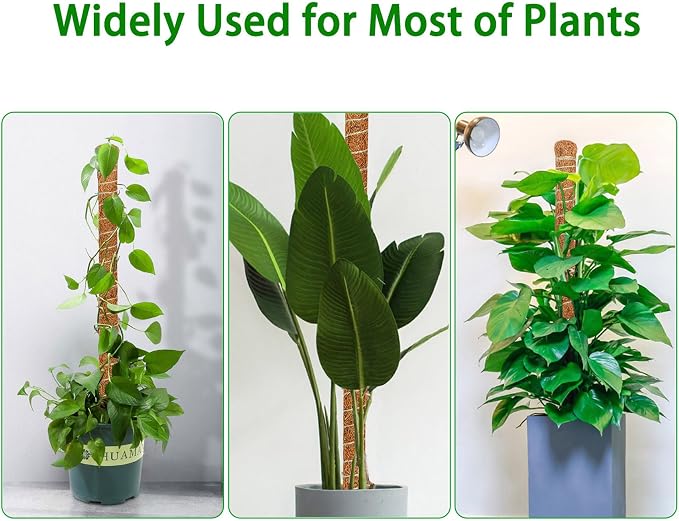 2 Pack Moss Pole, 63-Inch Moss Poles for Plants Monstera,Bendable Plant Support Stakes for Climbing Plants Indoor, Garden Trellis Plant Stick for Potted Plants, Pothos Philodendron