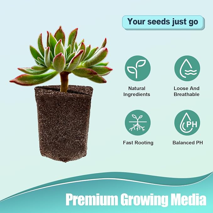 Haligo 50 Pcs Square Hydroponics Pods, Seed Starter Plugs Rapid Rooter, Grow Sponges for Cactus, Succulent, Replacement Cubes for Seeds or Cuttings