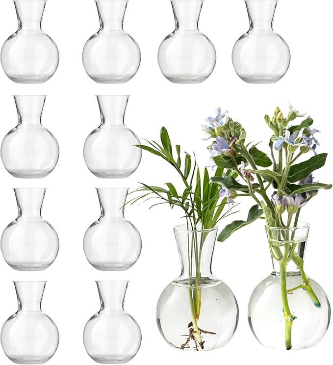 Plastic Propagation Vases (12 Bulbs),Desktop Plant Terrarium for Indoor Plants - Hydroponics Containers for Home Office Desk Decor, mini Gardening Gifts for Women Who Love Plants (12PCS)