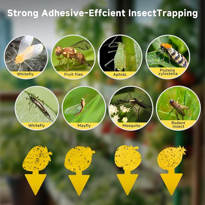 Fruit Fly Trap & Fungus Gnat Traps 40 Pack – Yellow Sticky Gnat Traps for House Indoor & Outdoor Plants, Non-Toxic and Odorless Insect Bug Catcher