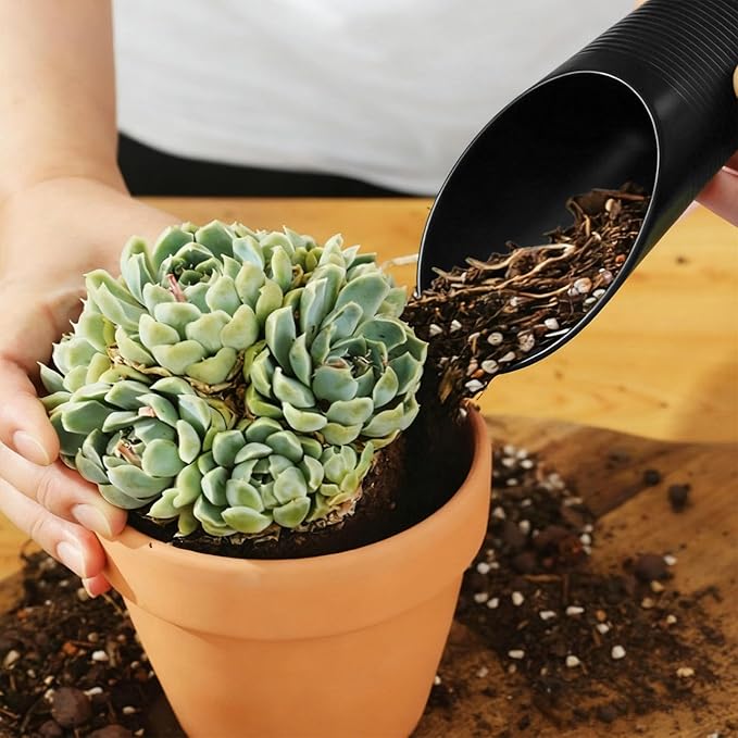 1 Pcs Bonsai Soil Scoops Plastic Garden Shovels Garden Tool, Colorful Mini Potting Scoops for Plant Succulent, Lightweight and Stable Design for Easy Gardening and Transplanting Tasks (Black)