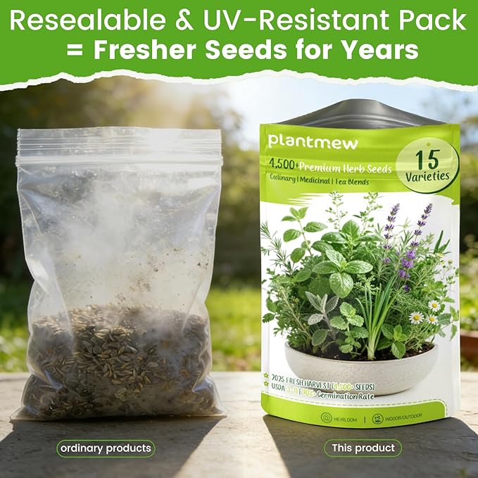 Herb Seeds 15-Pack – 4,500+ Heirloom Seeds for Planting – Indoor & Outdoor Herb Garden Kit with Basil, Cilantro, Rosemary, Thyme, Dill, Sage – Medicinal & Culinary Herb Seeds Variety Pack