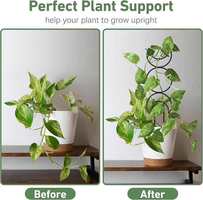 Plant Trellis for Climbing Plants Indoor, Small 14.6in Metal Trellis for Potted Plants, Mini Houseplant Hoya Pothos Trellis with Ties, Set of 4p Different Shap, Black