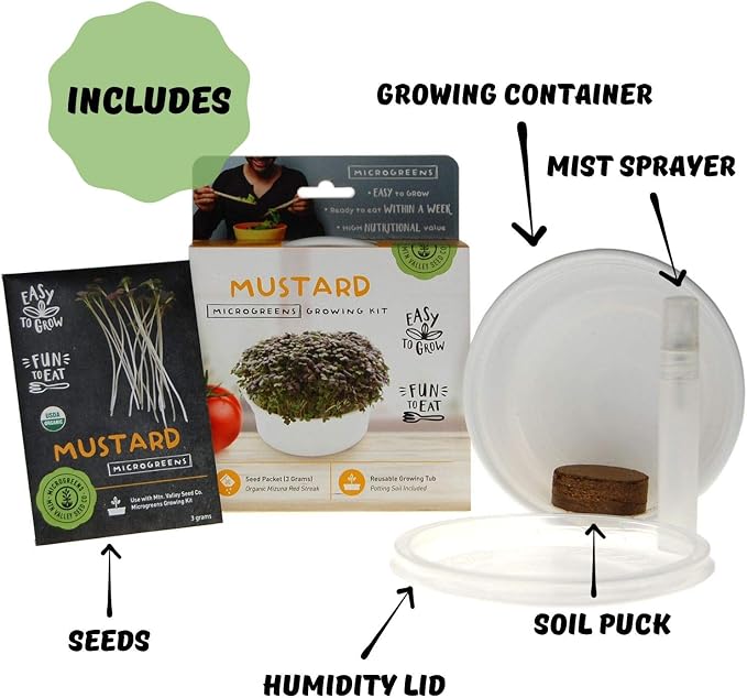 Mini Microgreens Growing Kit - Mizuna Mustard - Grow Your Own Organic Gourmet Micro Greens Indoors: Salad, Sandwich & Garnish - Easy & Fun - Great Gift or Stocking Stuffer (Red Streaks Mizuna Mustard)