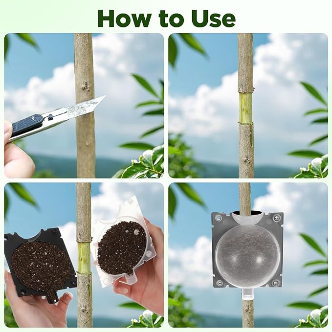 30 Pcs Air Layering Pods, Reusable Half Black Half Transparent Grafting Balls, Air Layering Propagation Kit for Plant Rooting, Medium Size Rooting Box for Fast Propagation
