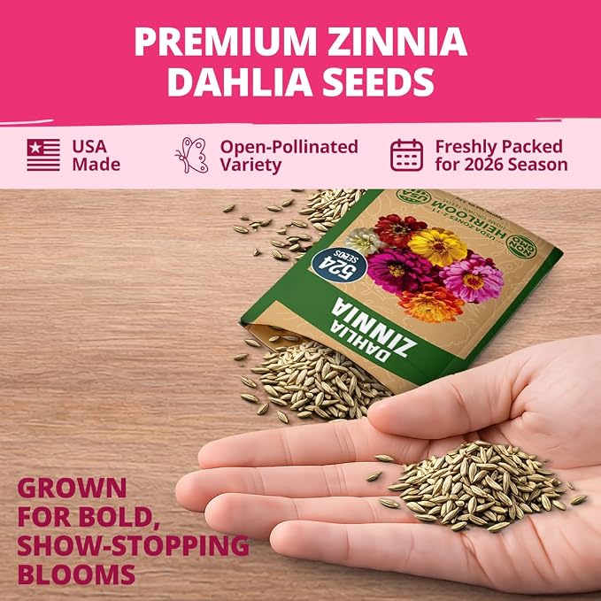 HOME GROWN Zinnia Dahlia Seeds Pack for 2026 Non GMO 524 Flower Seeds | Vibrant Zinnia Elegans for Pollinator Gardens, Borders & Containers | Easy-to-Grow Outdoor Blooms