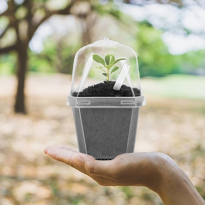 EBaokuup 10PCS Clear Plant Nursery Pots with Humidity Dome - 3" Plastic Gardening Pot with Labels, Durable Plastic Plant Container for Seedlings/Vegetables/Succulents/Cuttings
